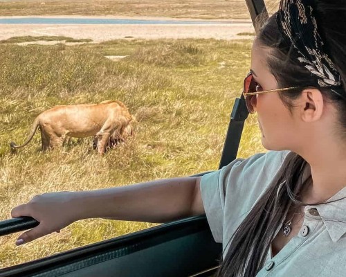 Tanzania sau Africa de Sud? Ce destinație de safari ar trebui să alegi?