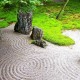 Ce este terapia Zen? Influența budismului în psihologie