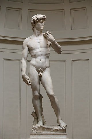 David (Sculptor - Michelangelo)
