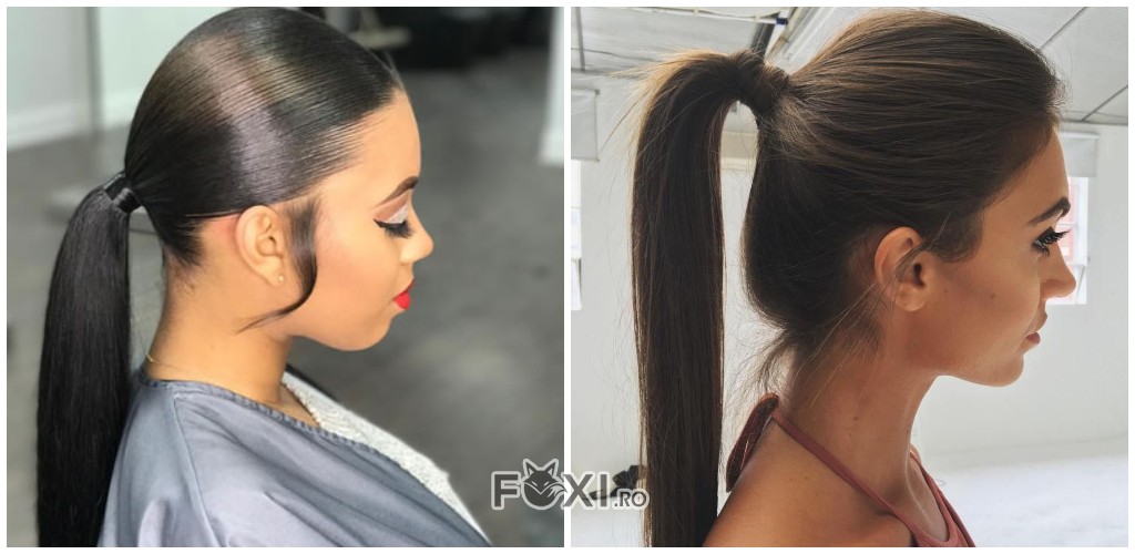 tendinte par lung coada de cal