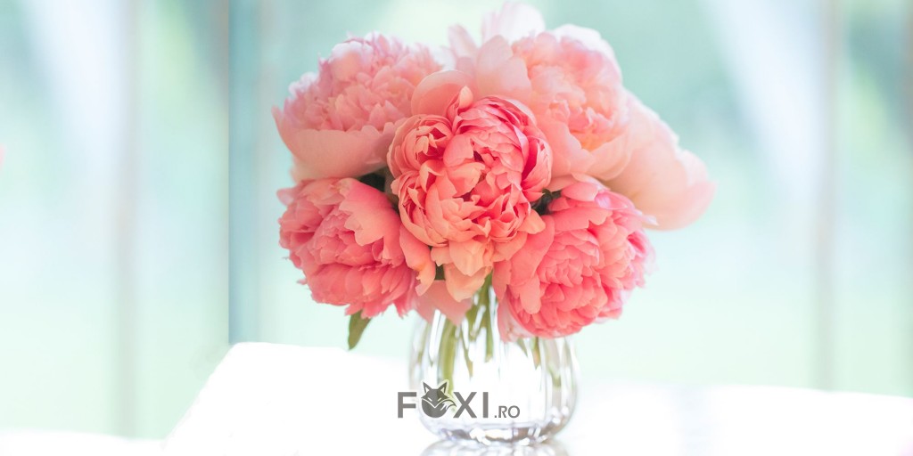 recomandari buchete de flori dragobete