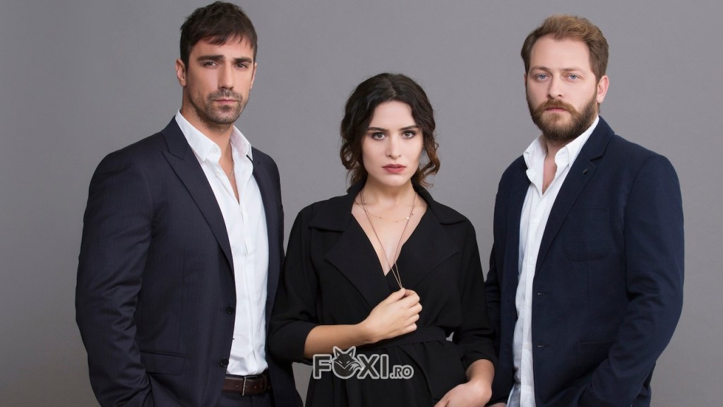 actorii serialului Intersection