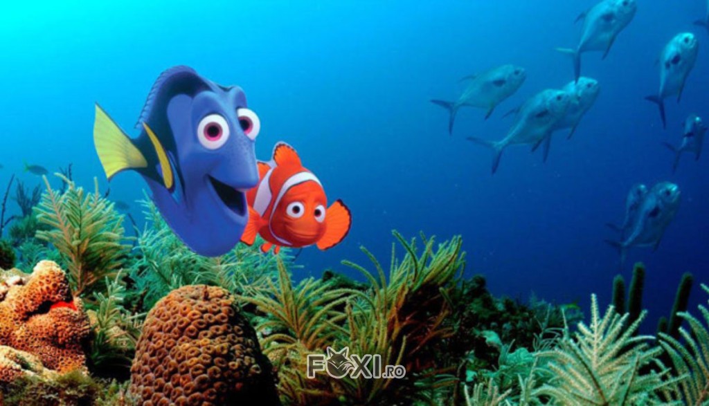 imaginea filmului Finding Nemo